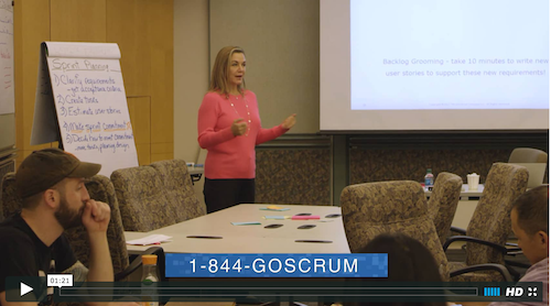 Go Scrum Video